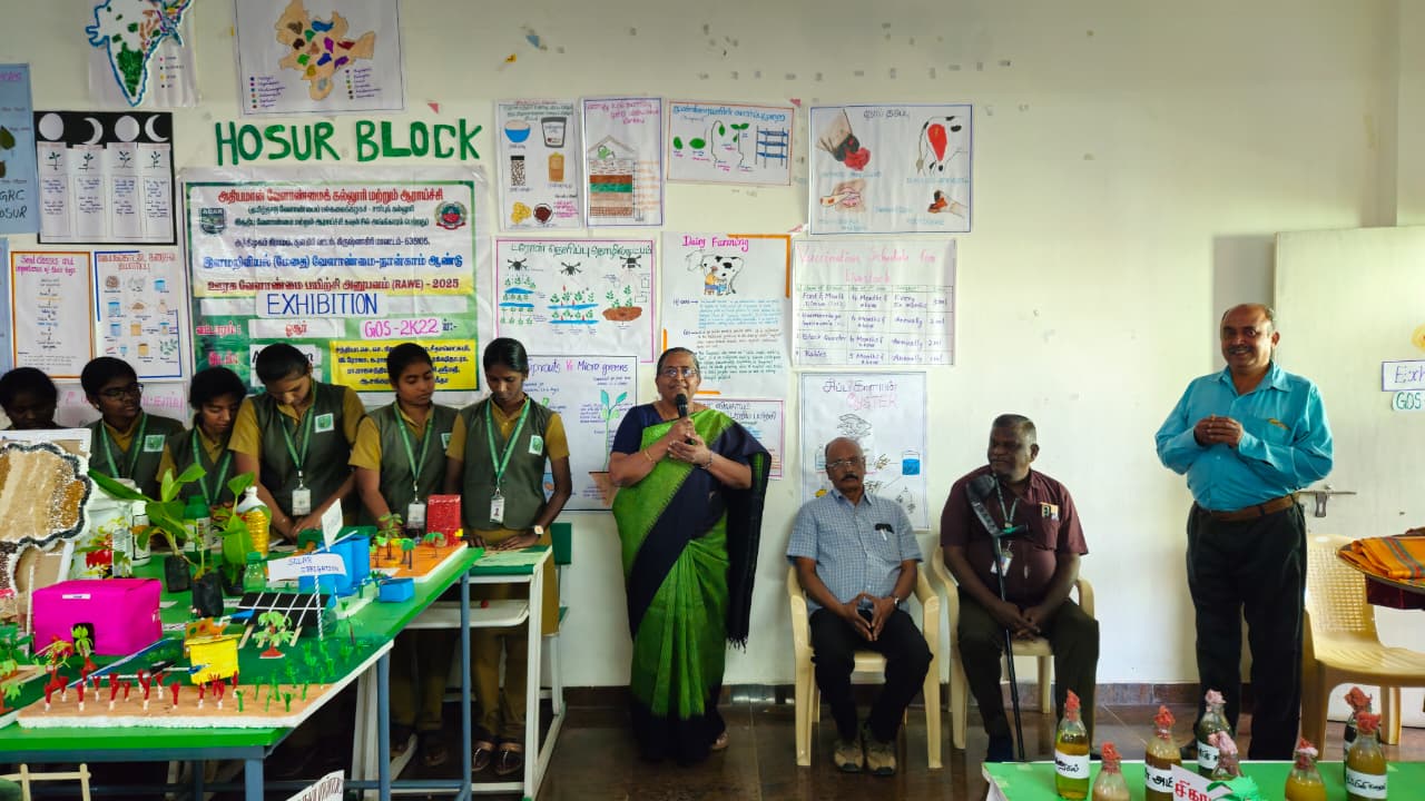 WhatsApp Image 2026-02-17 at 12.37.54 AM