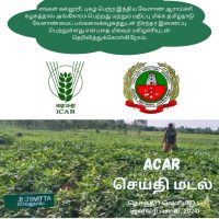 Tamil News letter (January-March 2024)